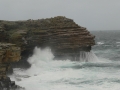 wildwaves 039.jpg