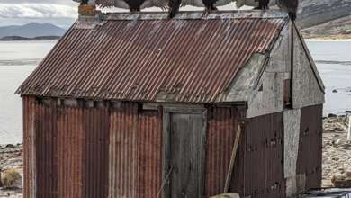 Restoring the historic shanty