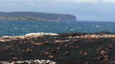 Peat problems