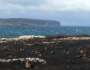 Peat problems