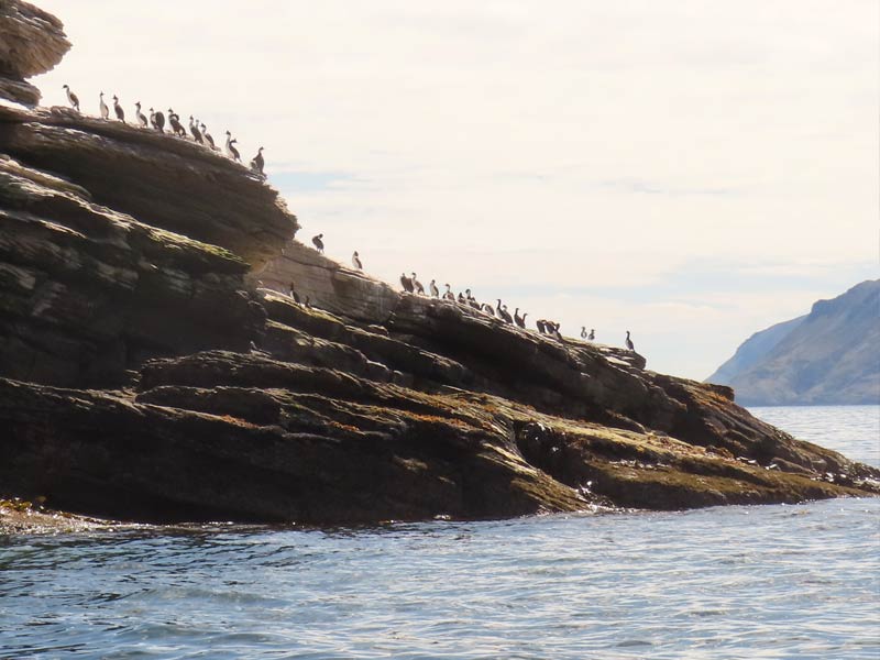 Bradley Islands, Falklands