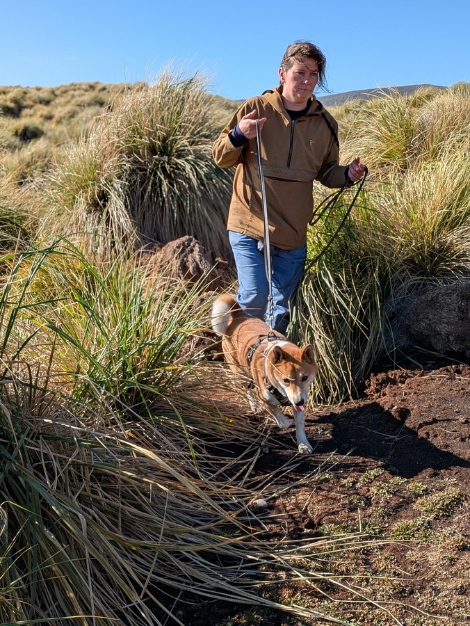 Naomi Cordeiro and Sammy checking Bense Island for evidence of rodents. None were found.