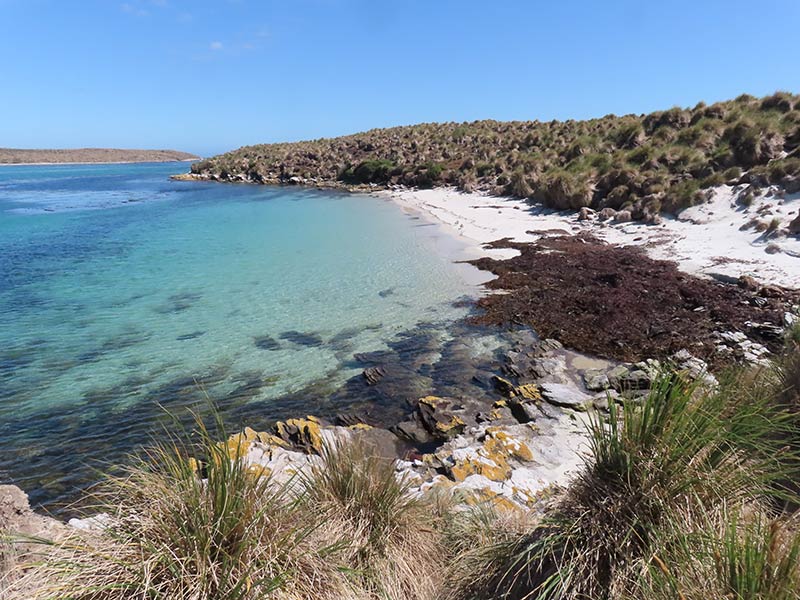 Little Bense Island