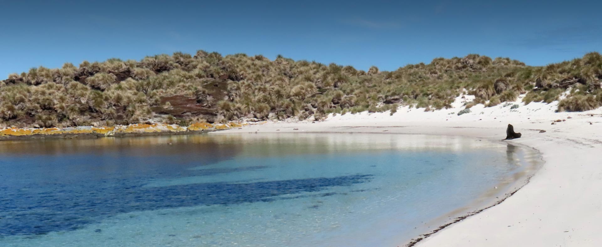 Sea Lion Beach on Little Bense Island.