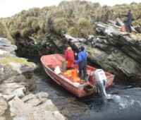 Using a boat to spread rat-bait on the complicated coast of Little Bense Island. Using a boat to spread rat-bait on the complicated coast of Little Bense Island.
