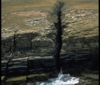 A deep cleft in the cliffs on Bense Island. A deep cleft in the cliffs on Bense Island.