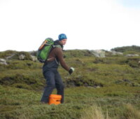 Rat-bait was broadcast by hand on Bense and Little Bense Islands. Rat-bait was broadcast by hand on Bense and Little Bense Islands.