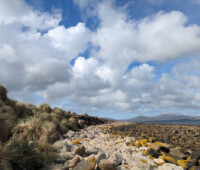 The rocky shore at low tide on the south coast of Bense Island. The rocky shore at low tide on the south coast of Bense Island.