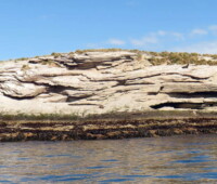 Bradley Islet at low tide. Bradley Islet at low tide.