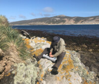 Deploying a rat-bait station on Little Bense Island. Deploying a rat-bait station on Little Bense Island.