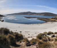 Sea Lion Beach on Little Bense Island, at low tide. Sea Lion Beach on Little Bense Island, at low tide.